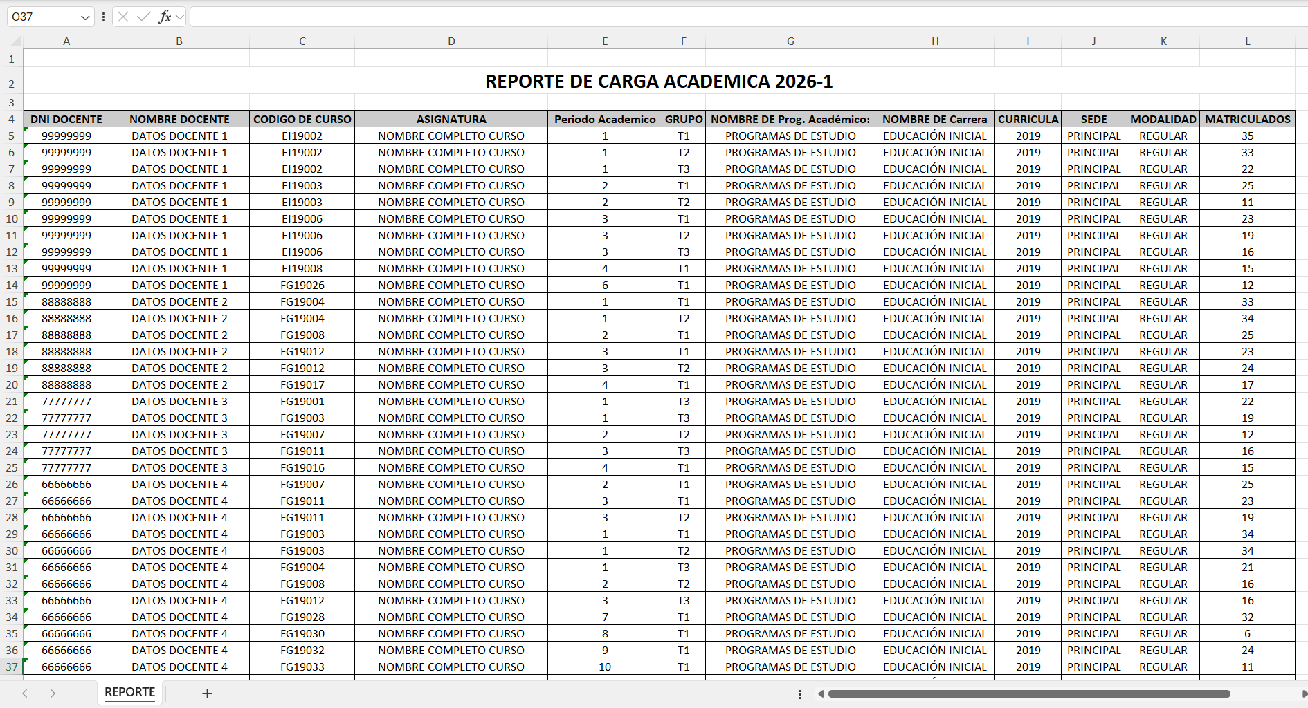 EXCEL_Rep_Carga_Academica